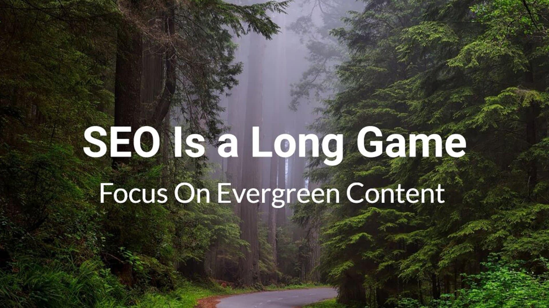 Seo is a long game. focus on evergreen content